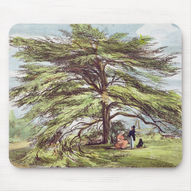 The Lebanon Cedar Tree in the Arboretum, Kew Garde Mouse Pad (Front)