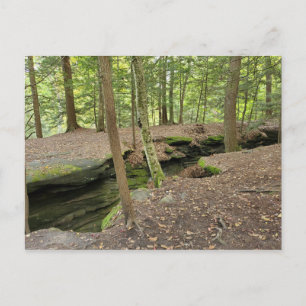 The Ledges, Cuyahoga Valley Nat'l Park OH postcard