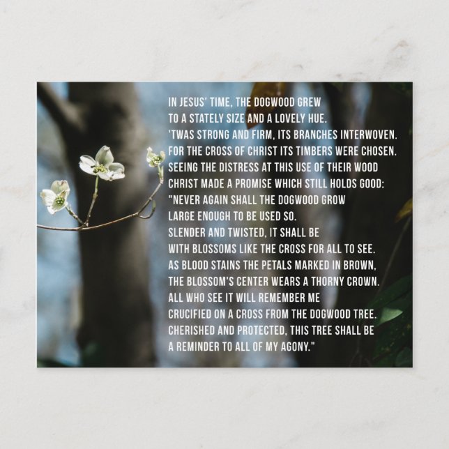 The Legend of the Dogwood Postcard (Front)