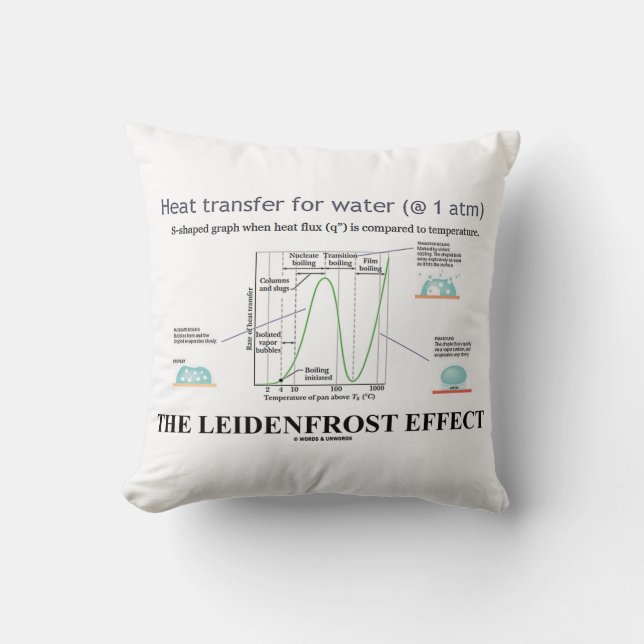 The Leidenfrost Effect Chemistry Water Throw Pillow (Front)