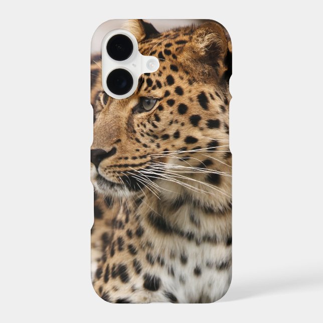 The Leopard (Back)