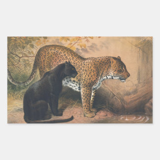 The Leopard by Joseph Wolf Sticker