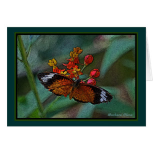 The Leopard Lacewing (Cethosia cyane) Butterfly