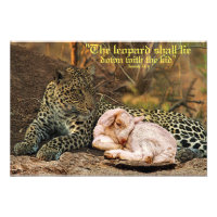 The leopard shall lie down with the kid-Isaiah 11