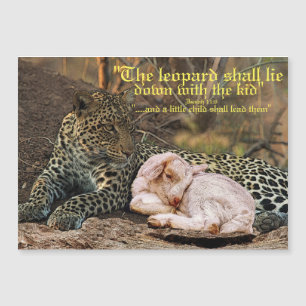 The leopard shall lie down with the lamb-Isaiah 11