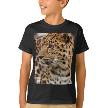 The Leopard