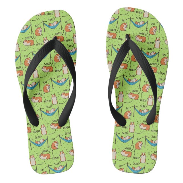 The life cycle of a Guinea Pig Flip Flops (Footbed)