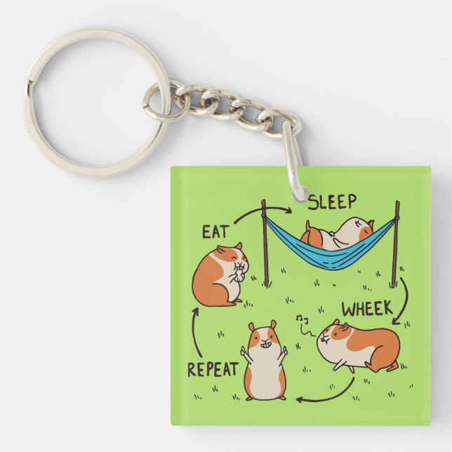 The life cycle of a Guinea Pig Keychain (Front)