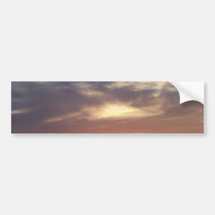 the light bumper sticker