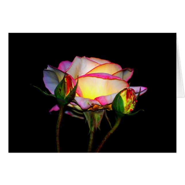 The Light Within (Front Horizontal)