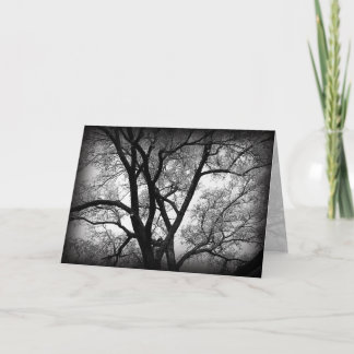 The Limbs of Nature Card