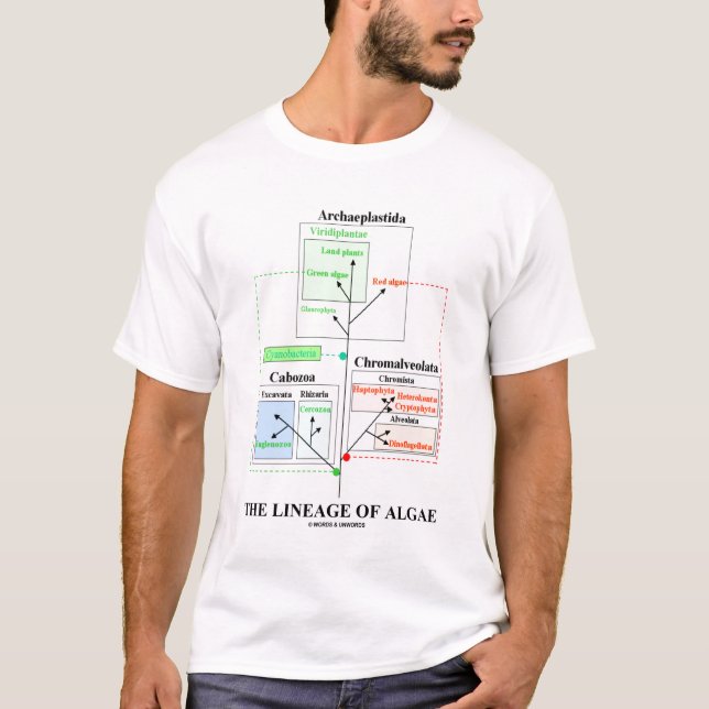 The Lineage Of Algae (Taxonomy) T-Shirt (Front)