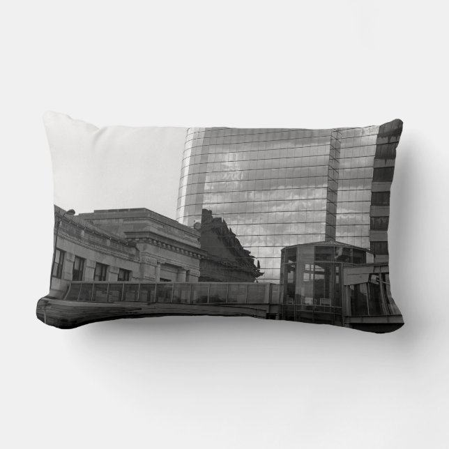 The Link Lumbar Pillow (Front)