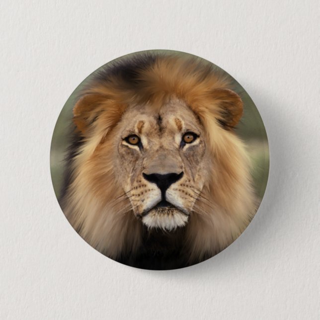 The Lion 2 Inch Round Button (Front)