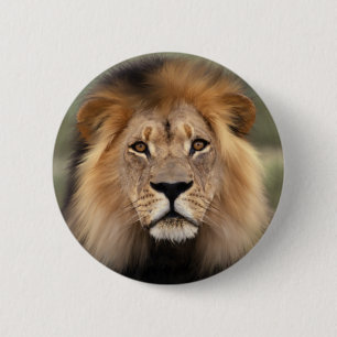 The Lion 2 Inch Round Button