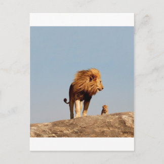 The Lion King ( Adult Lion and Cub) Postcard