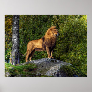 The Lion King Poster