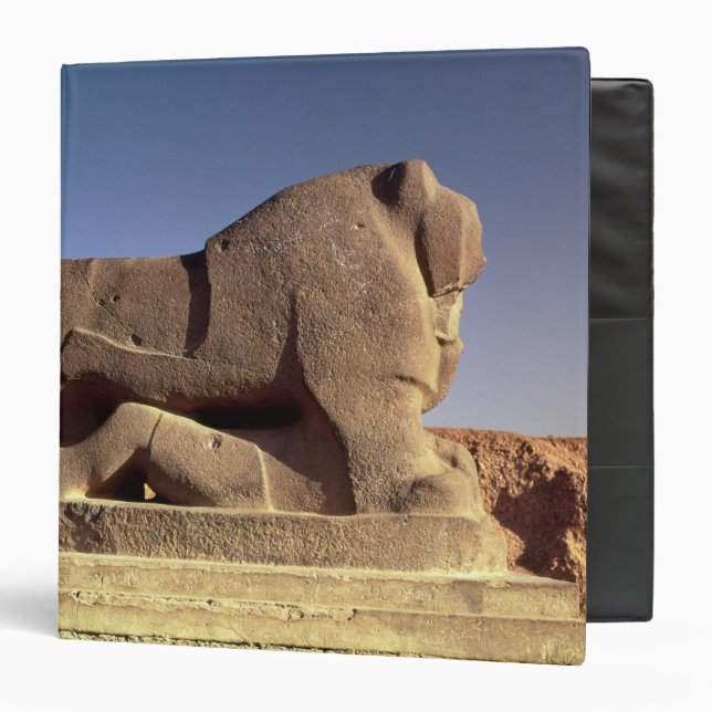The Lion of Babylon Binder (Front/Inside)