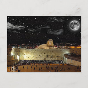 The Lion Of Judah On The Western Wall Postcard
