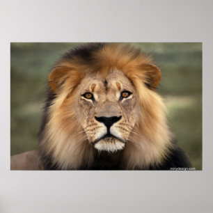 The Lion Poster