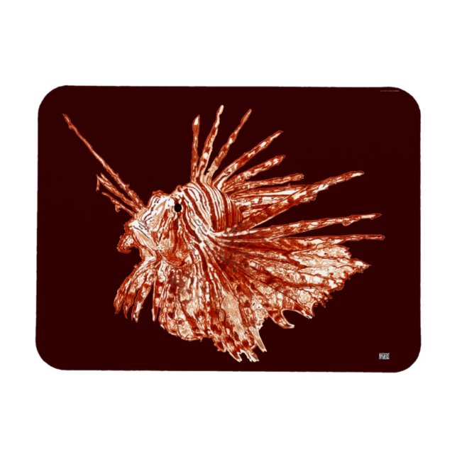 The Lionfish Magnet