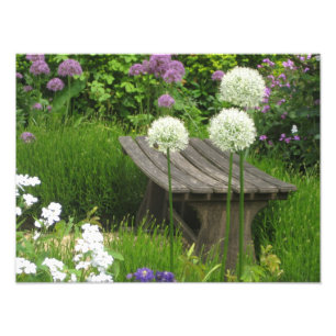 The Little Bench - Kodak Pro Photo Print Satin