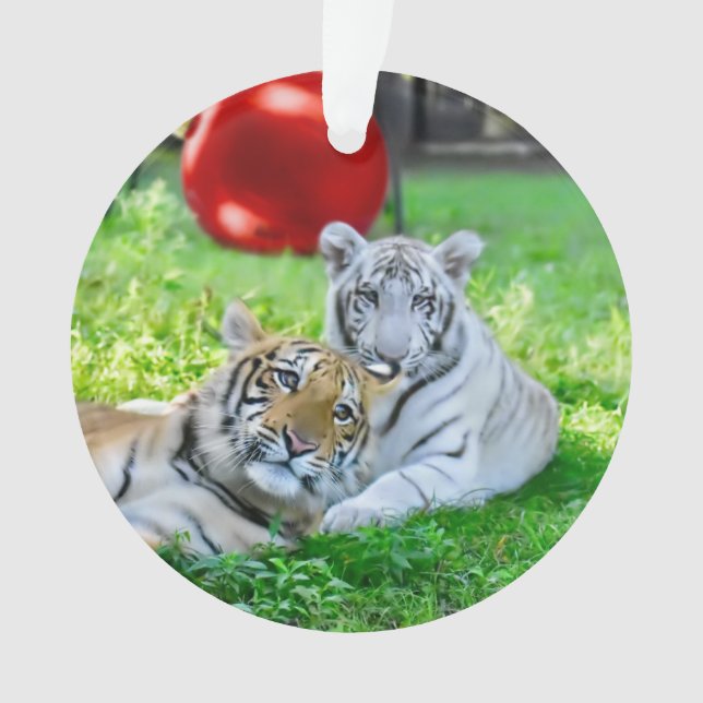 The Little Boys - Ornament (Front)