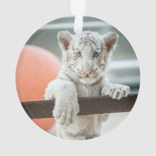 The Little Boys - Ornament