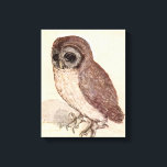 The Little Owl | Albrecht Dürer Canvas Print<br><div class="desc">The Little Owl (1506) | Albrecht Dürer’s The Little Owl (circa 1508) is a finely detailed watercolor and gouache painting showcasing a lifelike depiction of a small owl perched on a surface. Dürer’s exceptional attention to detail captures the bird’s textured feathers and alert expression, set against a plain background that...</div>