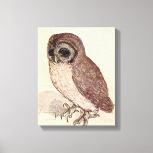The Little Owl Albrecht Dürer Canvas Print