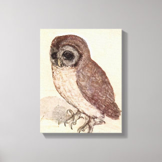 The Little Owl | Albrecht Dürer Canvas Print