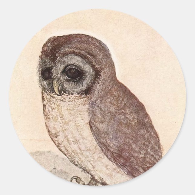 The Little Owl | Albrecht Dürer Classic Round Sticker (Front)