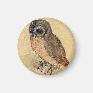 The Little Owl Albrecht Dürer Magnet