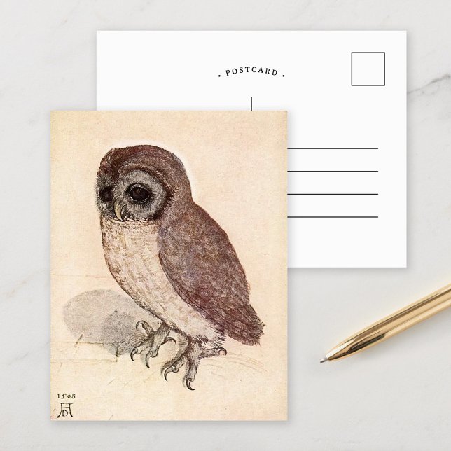 The Little Owl | Albrecht Dürer Postcard (Creator Uploaded)