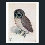 The Little Owl, Albrecht Durer Poster<br><div class="desc">Albrecht Dürer (21 May 1471 – 6 April 1528) was a German painter, printmaker, and theorist of the German Renaissance. Born in Nuremberg, Dürer established his reputation and influence across Europe when he was in his twenties due to his high-quality woodcut prints. He was in communication with the major Italian...</div>