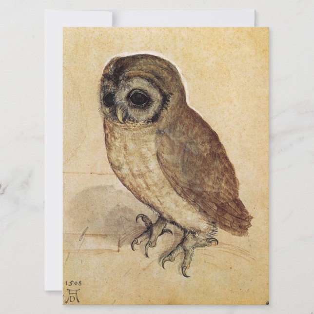 The Little Owl (by Albrecht Durer) Card (Front)