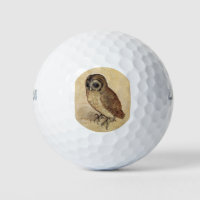 The Little Owl (by Albrecht Durer)