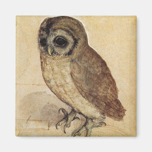 The Little Owl (by Albrecht Durer) Magnet