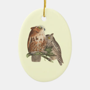 The Little Screech Owl	(Bubo asio) Ceramic Ornament