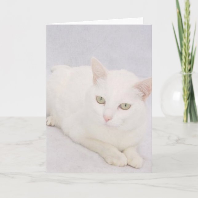 The Little White Cat Card (Front)