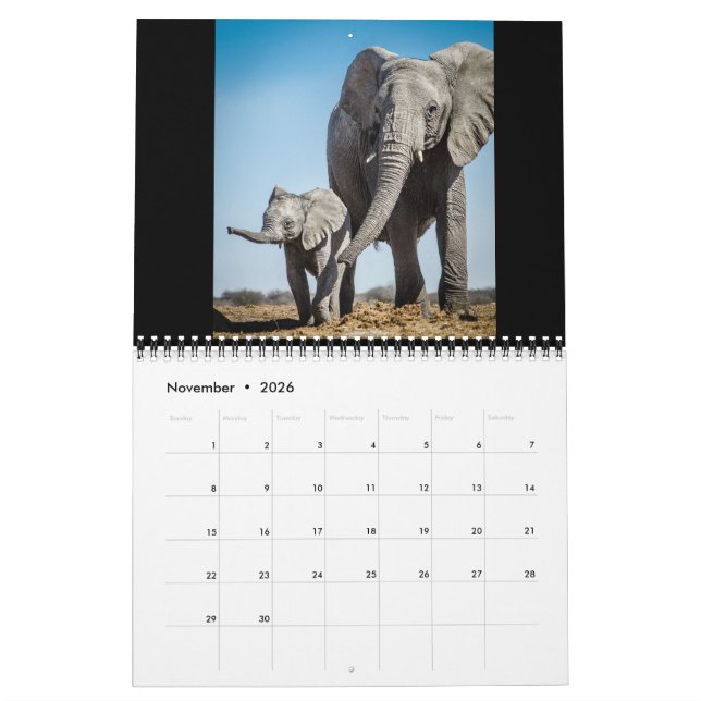 The Littlest Giants Calendar (Nov 2026)