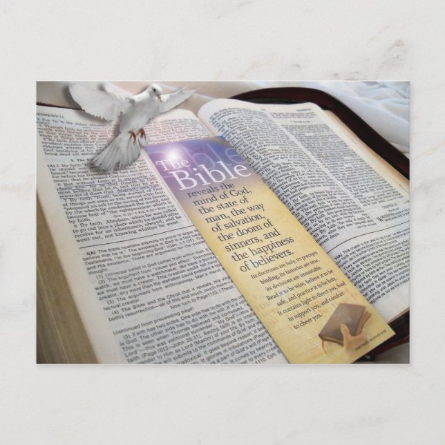 The Living Word of God Bible Hebrews 4:12 PostCard (Front)