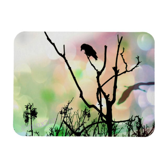 The Lonely Crow Magnet (Horizontal)