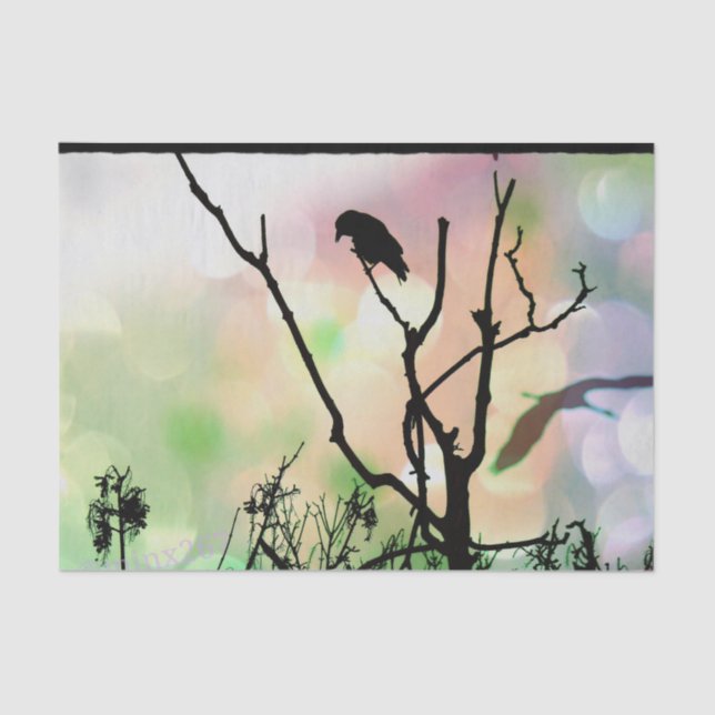 The Lonely Crow Tissue Paper (Front)