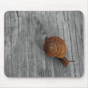 The Lonely Snail Mousepad