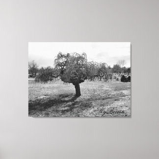 the lonely tree canvas print