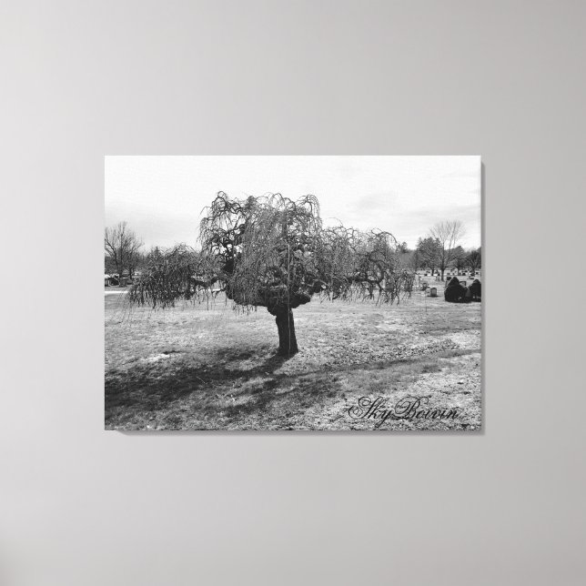the lonely tree canvas print (Front)