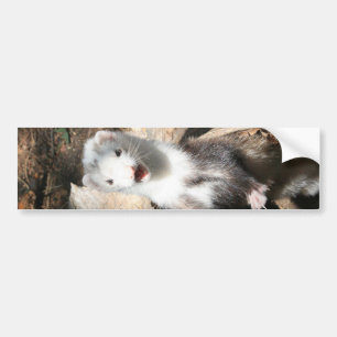 The Lookout Bumper Sticker