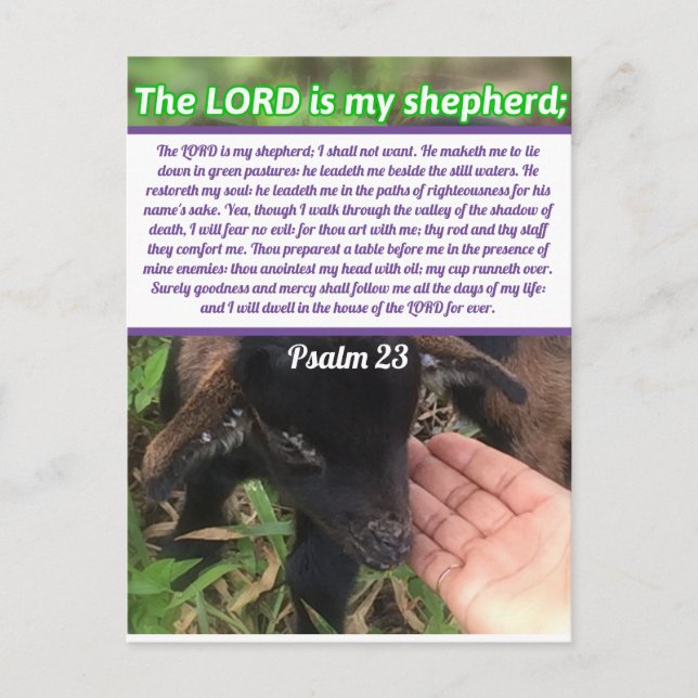The Lord Is My Shepherd Psalm 23 Bible Verse Postcard (Front)