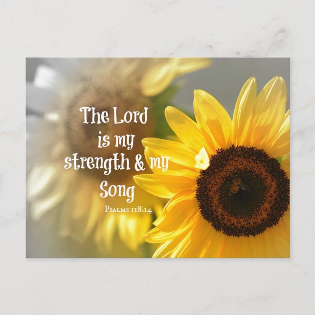 The Lord is my Strength and Song Bible Verse Postcard (Front)